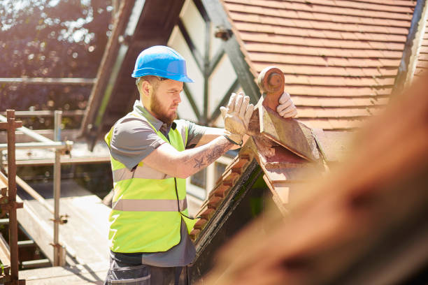 Best Roof Gutter Cleaning  in Holly Hill, SC